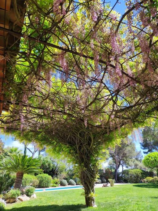 La Californienne Villa Carqueiranne Bagian luar foto